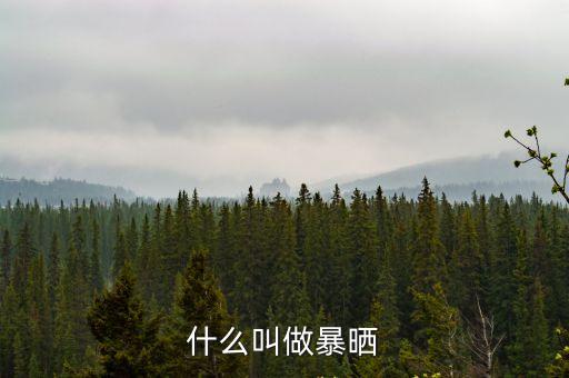 曝曬的意思，什么叫做暴曬
