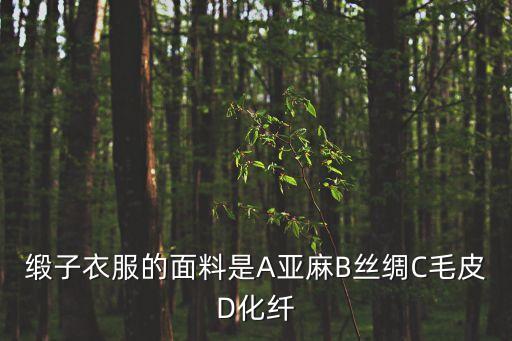 緞子衣服的面料是A亞麻B絲綢C毛皮D化纖