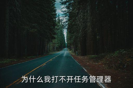 任務(wù)管理器打不開，為什么打開不了任務(wù)管理器