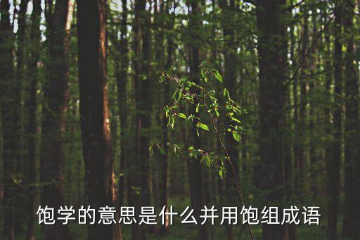 飽學，飽學是什么意思