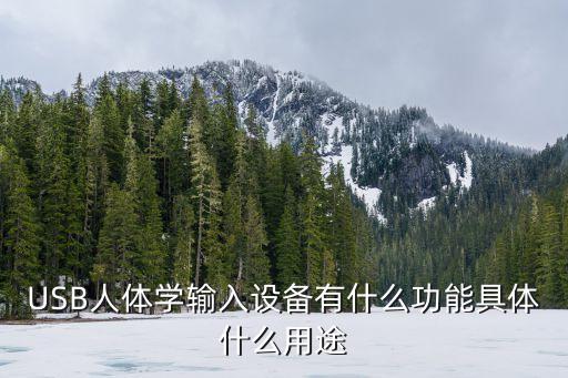 usb是什么，usb是什么樣子
