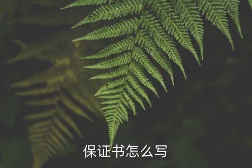 保證書，保證書怎么寫