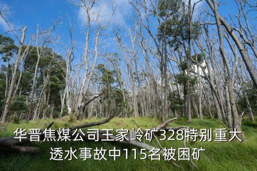華晉焦煤公司王家嶺礦328特別重大透水事故中115名被困礦