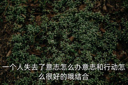 一個人失去了意志怎么辦意志和行動怎么很好的哦結合