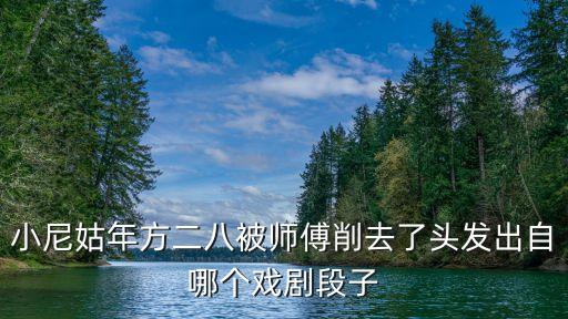 小尼姑年方二八被師傅削去了頭發(fā)出自哪個戲劇段子