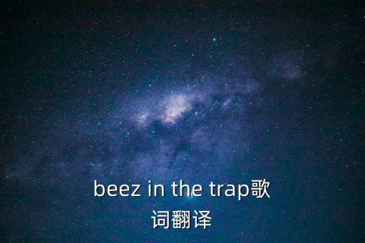陷阱歌詞，beez in the trap歌詞翻譯