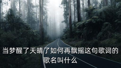 當(dāng)夢(mèng)醒了天晴了如何再飄搖這句歌詞的歌名叫什么