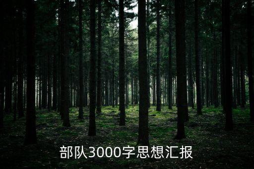 部隊(duì)個(gè)人思想?yún)R報(bào)，部隊(duì)3000字思想?yún)R報(bào)