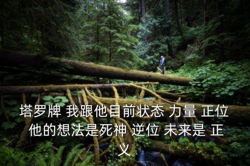 塔羅牌 我跟他目前狀態(tài) 力量 正位 他的想法是死神 逆位 未來是 正義