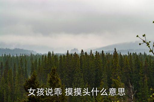 女孩說乖 摸摸頭什么意思