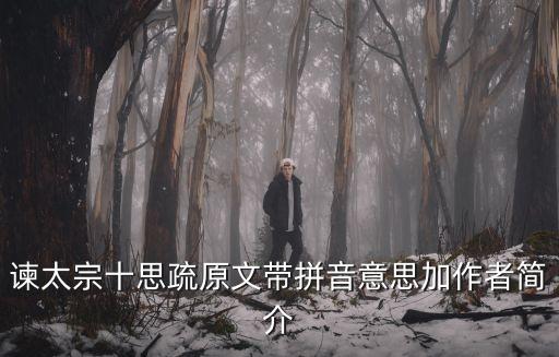 諫太宗十思疏原文及翻譯，諫太宗十思疏原文帶拼音意思加作者簡介