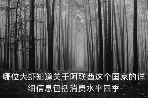 阿聯酋國家簡介，哪位大蝦知道關于阿聯酋這個國家的詳細信息包括消費水平四季