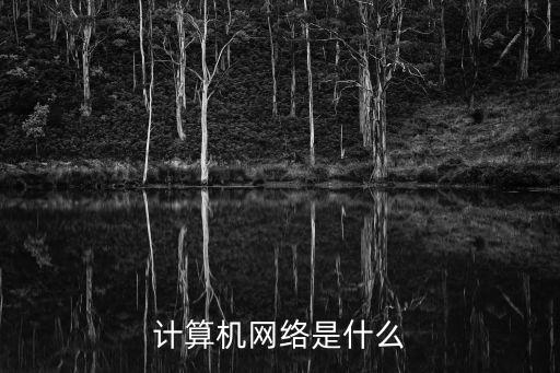 it網絡，計算機網絡是什么