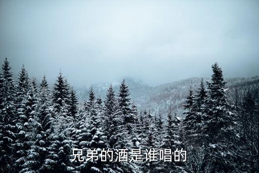 兄弟的酒，什么是兄弟酒嗎