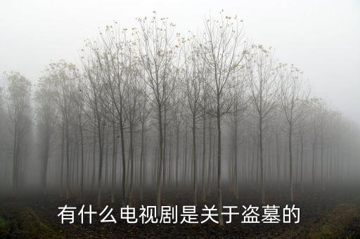 盜墓電視劇，關于盜墓電視劇都有哪些