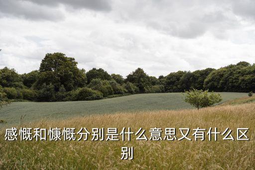 感慨和慷慨分別是什么意思又有什么區別