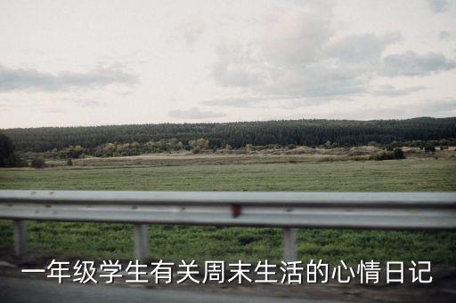 小學一年級日記，一年級學生有關周末生活的心情日記