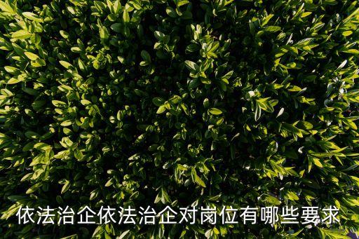 依法治企，依法治企依法治企對崗位有哪些要求