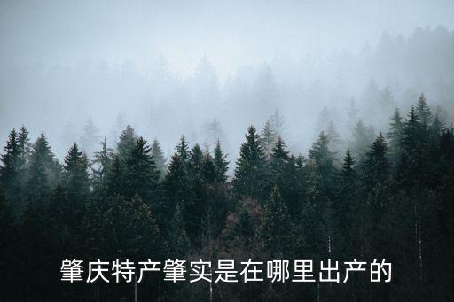 肇實，肇慶特產肇實是在哪里出產的