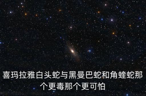 白頭蛇，喜瑪拉雅白頭蛇與黑曼巴蛇和角蝰蛇那個更毒那個更可怕