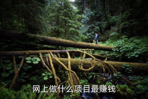 創業網，小型加工致富項目