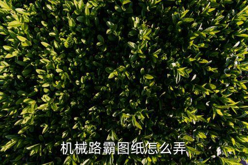 機械路霸圖紙，Wow機械路霸摩托車圖紙從哪買的呀
