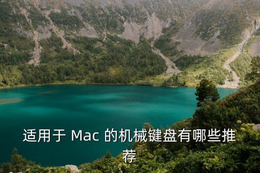 蘋果電腦鍵盤，蘋果電腦沒小鍵盤嗎