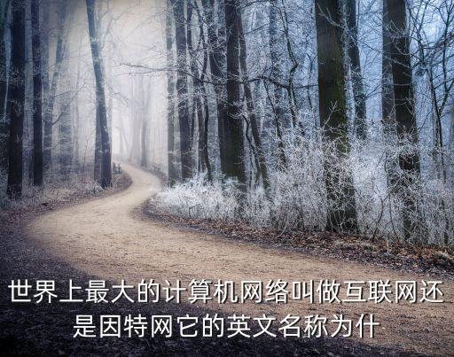 世界上最大的計算機網絡叫做互聯網還是因特網它的英文名稱為什