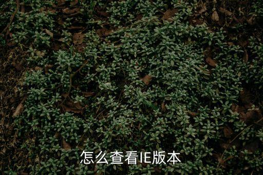 查看ie版本，如何查看IE瀏覽器的版本