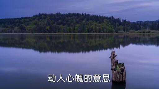 動人心魄，動人心魄是什么意思