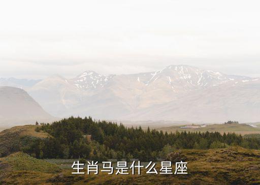 屬馬的是什么星座，生肖馬是什么星座