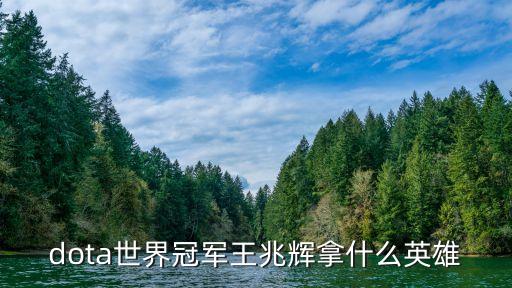 王肇輝，dota世界冠軍王兆輝拿什么英雄