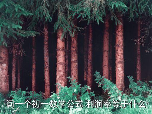 利潤(rùn)率是，利潤(rùn)率等于什么