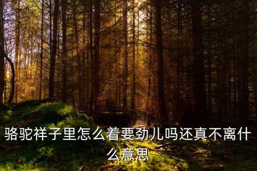 怎么著，怎么著能發財