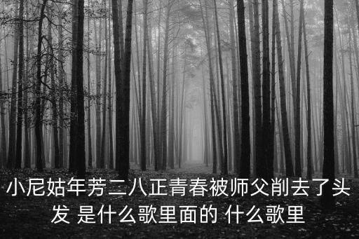 小尼姑年方二八，小尼姑年方二八被師傅削去了頭發出自哪個戲劇段子