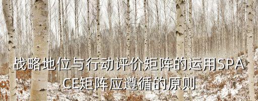 space矩陣，戰略地位與行動評價矩陣的運用SPACE矩陣應遵循的原則