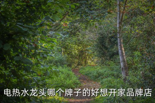 電熱水龍頭品牌，什么牌子的電熱水龍頭好