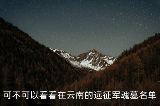 國殤墓園，可不可以看看在云南的遠(yuǎn)征軍魂墓名單