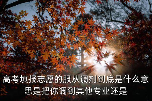 服從調劑是什么意思，什么是服從調劑