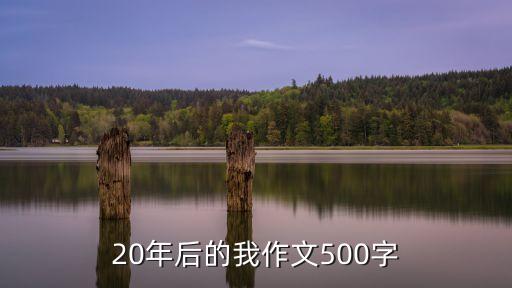 20年后的自己，20年后的我作文500字