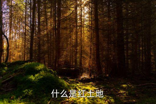 紅土地，什么是紅土地