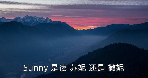 sunny怎么讀，SUNNY怎么讀
