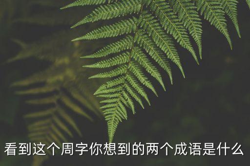 周字開頭的成語，看到這個周字你想到的兩個成語是什么