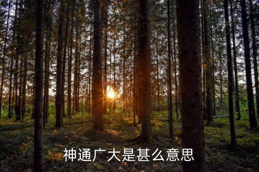 神通廣大是什么意思，翻天覆地大顯身手神通廣大的意思