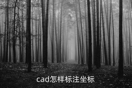 cad怎樣標注坐標