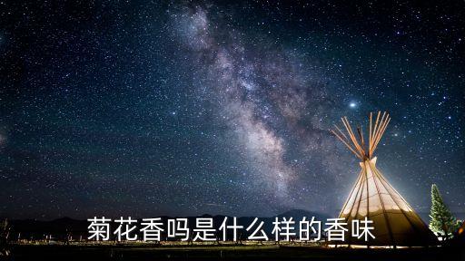 菊花的香味，菊花香嗎是什么樣的香味