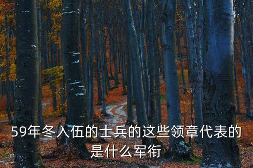 59年冬入伍的士兵的這些領(lǐng)章代表的是什么軍銜