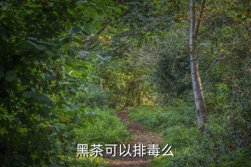 黑茶的作用，黑茶可以排毒么