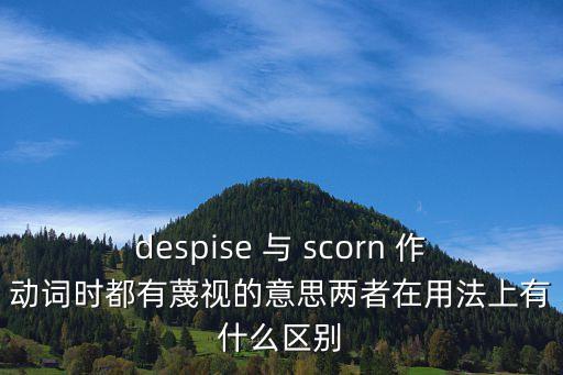 despise 與 scorn 作動詞時都有蔑視的意思兩者在用法上有什么區別
