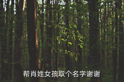 肖姓女孩起名，幫忙給姓肖的起個女孩名